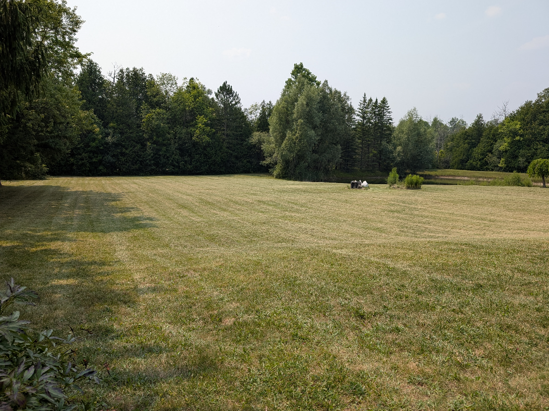 Lawn Care