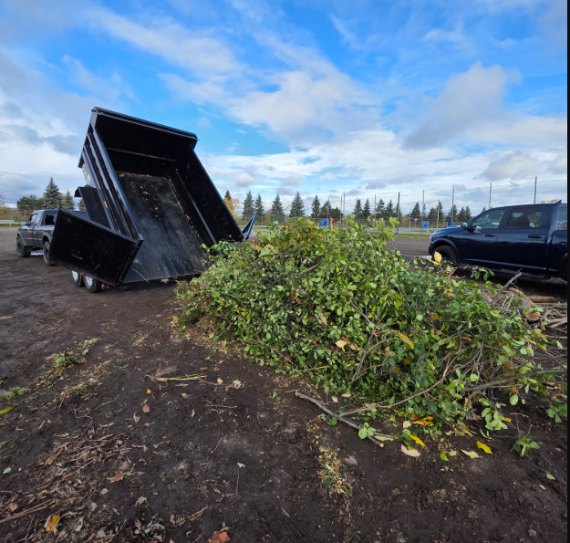 Landscaping